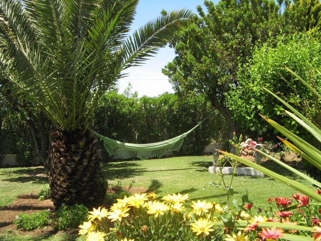 Bed and Breakfast Quinta Dos Oliveiras Carvoeiro  Zewnętrze zdjęcie