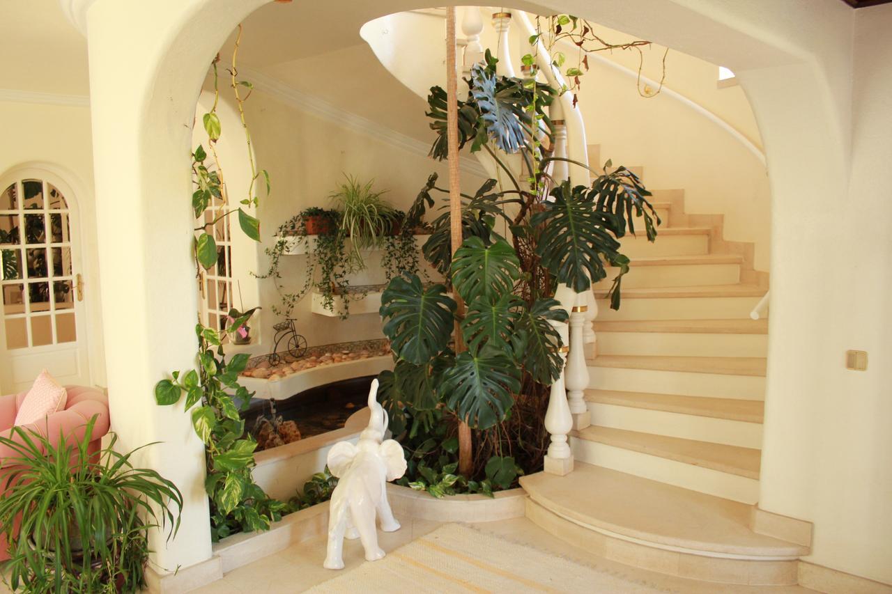 Bed and Breakfast Quinta Dos Oliveiras Carvoeiro  Zewnętrze zdjęcie