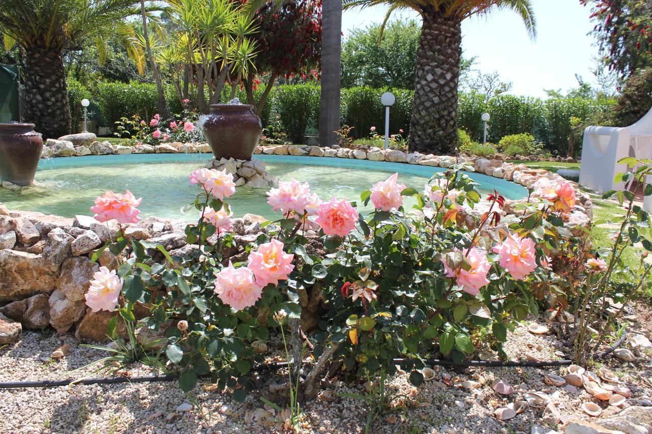 Bed and Breakfast Quinta Dos Oliveiras Carvoeiro  Zewnętrze zdjęcie